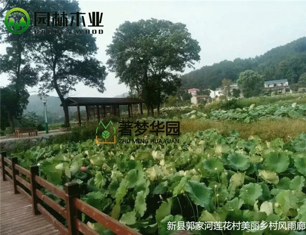 信阳51漫画网页版风雨廊